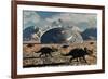 A Herd of Dinosaurs Walk Past a Flying Saucer Lodged into the Ground-null-Framed Art Print