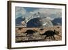 A Herd of Dinosaurs Walk Past a Flying Saucer Lodged into the Ground-null-Framed Art Print