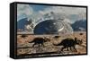 A Herd of Dinosaurs Walk Past a Flying Saucer Lodged into the Ground-null-Framed Stretched Canvas