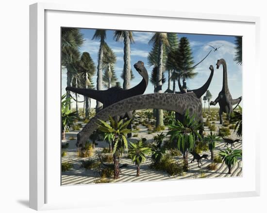 A Herd of Diplodocus Dinosaurs Feeding on Plants-Stocktrek Images-Framed Photographic Print