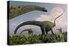 A Herd of Diplodocus Sauropod Dinosaurs Grazing-null-Stretched Canvas