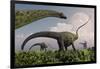 A Herd of Diplodocus Sauropod Dinosaurs Grazing-null-Framed Art Print