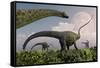 A Herd of Diplodocus Sauropod Dinosaurs Grazing-null-Framed Stretched Canvas