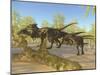 A Herd of Dracorex Dinosaurs Walk Through a Carboniferous Forest-null-Mounted Art Print