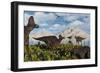 A Herd of Duckbilled Corythosaurus Dinosaurs-null-Framed Premium Giclee Print