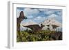 A Herd of Duckbilled Corythosaurus Dinosaurs-null-Framed Premium Giclee Print