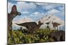 A Herd of Duckbilled Corythosaurus Dinosaurs-null-Mounted Premium Giclee Print