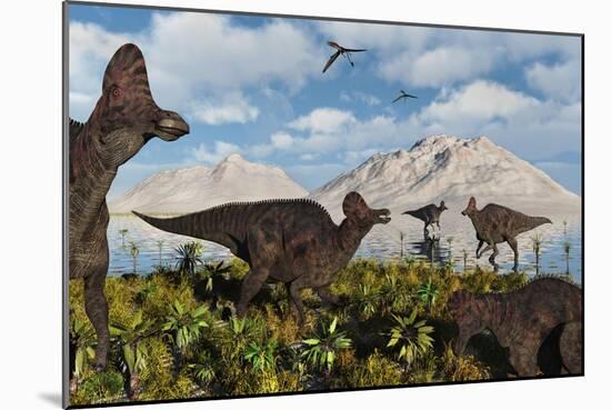 A Herd of Duckbilled Corythosaurus Dinosaurs-null-Mounted Art Print