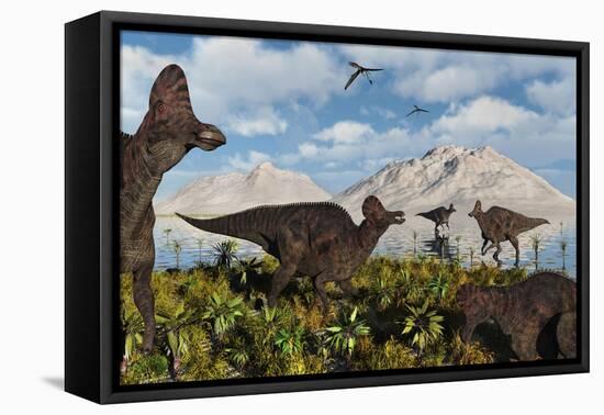 A Herd of Duckbilled Corythosaurus Dinosaurs-null-Framed Stretched Canvas