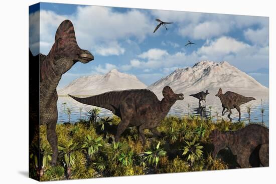 A Herd of Duckbilled Corythosaurus Dinosaurs-null-Stretched Canvas