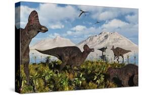 A Herd of Duckbilled Corythosaurus Dinosaurs-null-Stretched Canvas