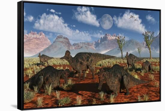 A Herd of Duckbilled Corythosaurus Dinosaurs-null-Framed Stretched Canvas