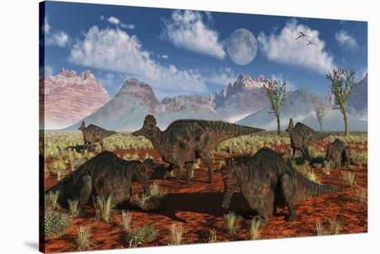 A Herd of Duckbilled Corythosaurus Dinosaurs-null-Stretched Canvas