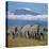 A Herd of Elephants with Mount Kilimanjaro in the Background-Nigel Pavitt-Stretched Canvas