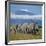 A Herd of Elephants with Mount Kilimanjaro in the Background-Nigel Pavitt-Framed Photographic Print