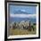 A Herd of Elephants with Mount Kilimanjaro in the Background-Nigel Pavitt-Framed Photographic Print