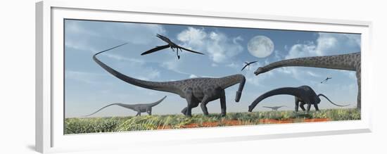 A Herd of Giant Diplodocus Dinosaurs Grazing-null-Framed Premium Giclee Print