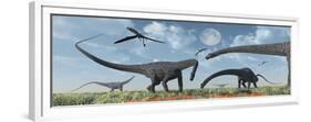 A Herd of Giant Diplodocus Dinosaurs Grazing-null-Framed Premium Giclee Print