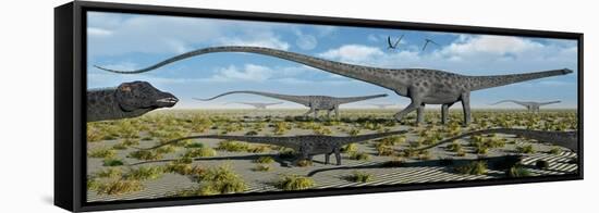 A Herd of Giant Diplodocus Dinosaurs on the Move-null-Framed Stretched Canvas