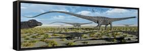 A Herd of Giant Diplodocus Dinosaurs on the Move-null-Framed Stretched Canvas