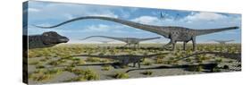 A Herd of Giant Diplodocus Dinosaurs on the Move-null-Stretched Canvas