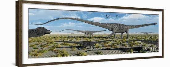 A Herd of Giant Diplodocus Dinosaurs on the Move-null-Framed Premium Giclee Print