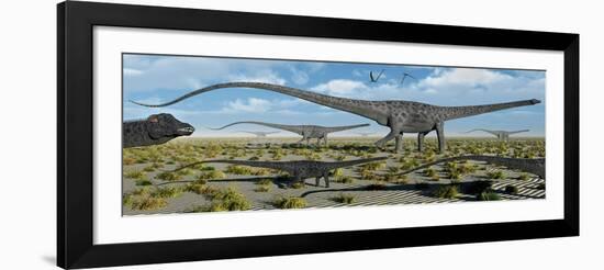 A Herd of Giant Diplodocus Dinosaurs on the Move-null-Framed Art Print