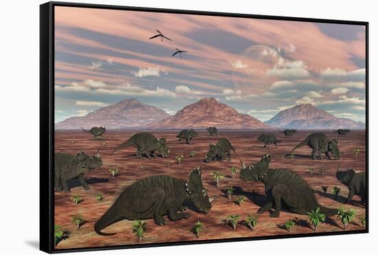 A Herd of Herbivorous Centrosaurus Dinosaurs-null-Framed Stretched Canvas