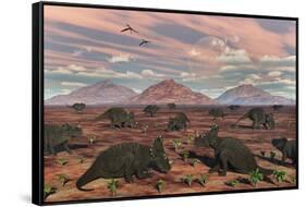 A Herd of Herbivorous Centrosaurus Dinosaurs-null-Framed Stretched Canvas