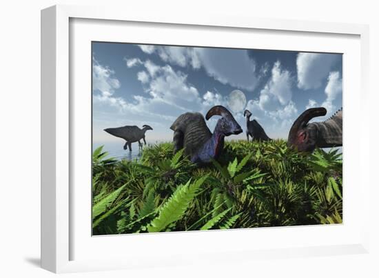 A Herd of Herbivorous Parasaurolophus Dinosaurs Grazing-null-Framed Art Print