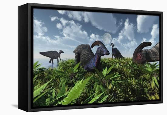 A Herd of Herbivorous Parasaurolophus Dinosaurs Grazing-null-Framed Stretched Canvas