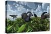 A Herd of Herbivorous Parasaurolophus Dinosaurs Grazing-null-Stretched Canvas