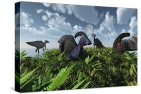 A Herd of Herbivorous Parasaurolophus Dinosaurs Grazing-null-Stretched Canvas