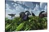 A Herd of Herbivorous Parasaurolophus Dinosaurs Grazing-null-Stretched Canvas