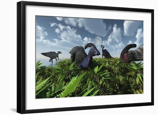 A Herd of Herbivorous Parasaurolophus Dinosaurs Grazing-null-Framed Art Print