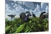 A Herd of Herbivorous Parasaurolophus Dinosaurs Grazing-null-Mounted Art Print