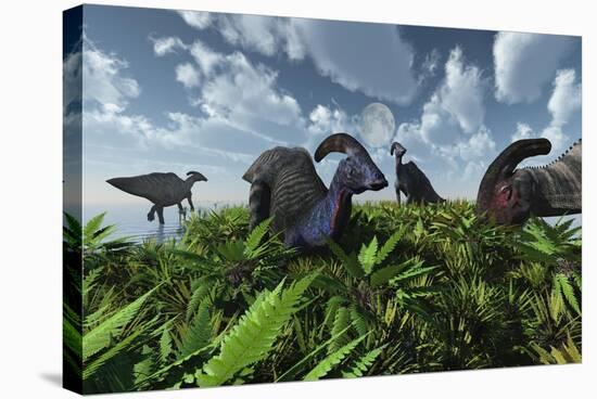 A Herd of Herbivorous Parasaurolophus Dinosaurs Grazing-null-Stretched Canvas