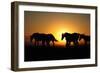 A Herd of Horses at Sunrise.-Tanya Yurkovska-Framed Photographic Print