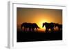 A Herd of Horses at Sunrise.-Tanya Yurkovska-Framed Photographic Print