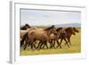 A Herd of Horses in South Gobi Desert, Mongolia., 2018 (Photo)-Ira Block-Framed Giclee Print