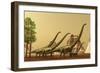 A Herd of Mamenchisaurus Dinosaurs Migrate to Better Feeding Ground-null-Framed Premium Giclee Print