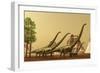 A Herd of Mamenchisaurus Dinosaurs Migrate to Better Feeding Ground-null-Framed Premium Giclee Print