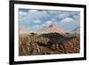 A Herd of Miragaia Dinosaurs Migrating-null-Framed Art Print