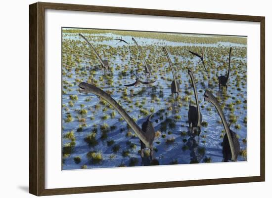 A Herd of Omeisaurus Dinosaurs on the Move-null-Framed Art Print