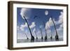 A Herd of Omeisaurus Dinosaurs on the Move-null-Framed Art Print