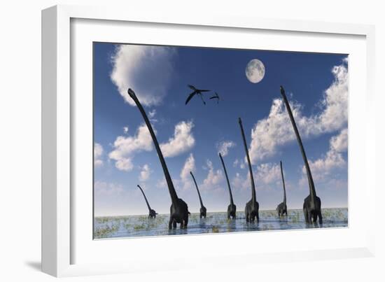 A Herd of Omeisaurus Dinosaurs on the Move-null-Framed Art Print