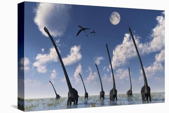 A Herd of Omeisaurus Dinosaurs on the Move-null-Stretched Canvas