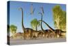 A Herd of Omeisaurus Dinosaurs Traveling Through a Jurassic Forest-Stocktrek Images-Stretched Canvas