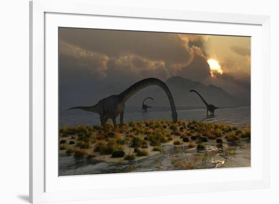 A Herd of Omeisaurus Sauropod Dinosaurs Grazing-null-Framed Art Print