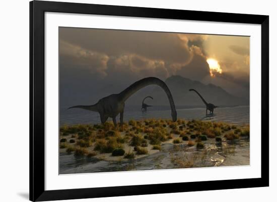 A Herd of Omeisaurus Sauropod Dinosaurs Grazing-null-Framed Art Print